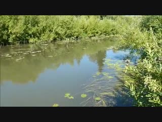 ushayka, the river where ksenya sobchak swam at epiphany in 2018